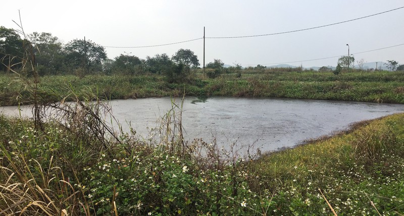 Hồ Thứ 2 - Hồ đầu tiên trong chu kỳ 7 hồ tuần hoàn xử lý chất thải có màu nâu, mặt nước váng bùn